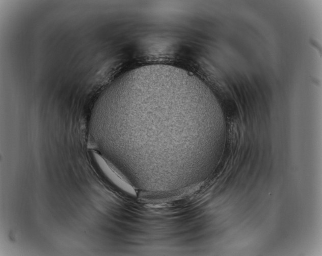 X0000097500557200803071805
