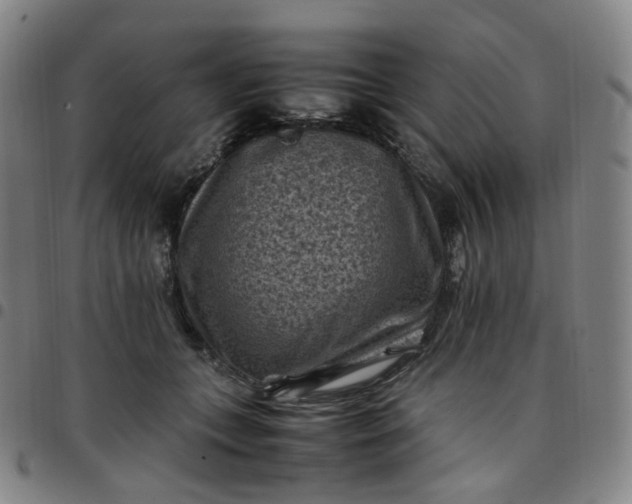 X0000097500559200803071805