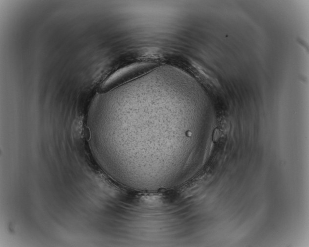 X0000097500560200803071805