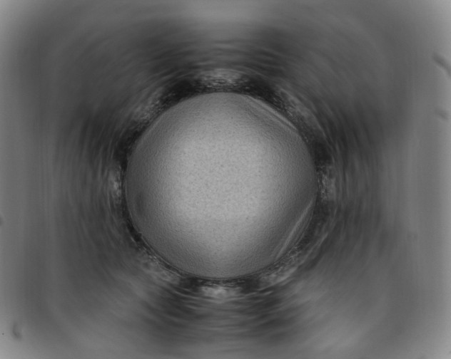 X0000097500561200803071805