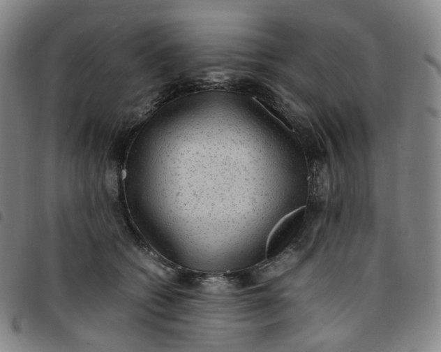 X0000097500562200803071805