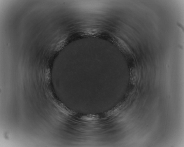 X0000097500563200803071805