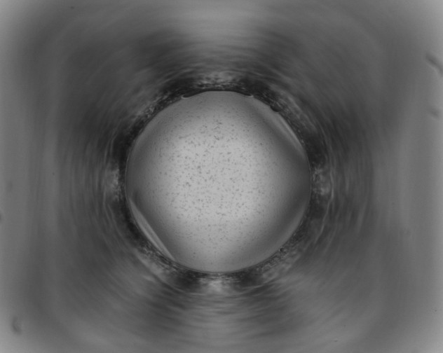 X0000097500564200803071805
