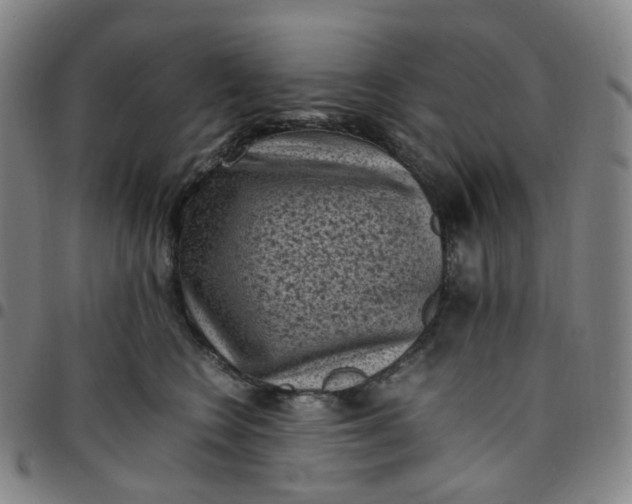 X0000097500566200803071805