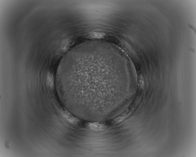 X0000097500568200803071805