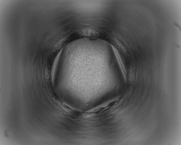 X0000097500569200803071805