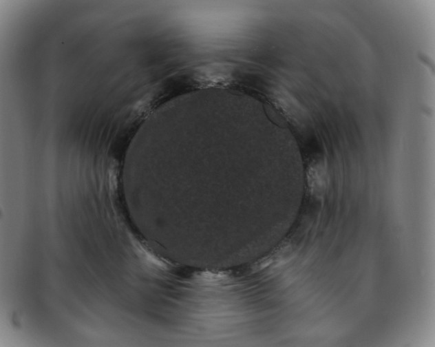 X0000097500570200803071805