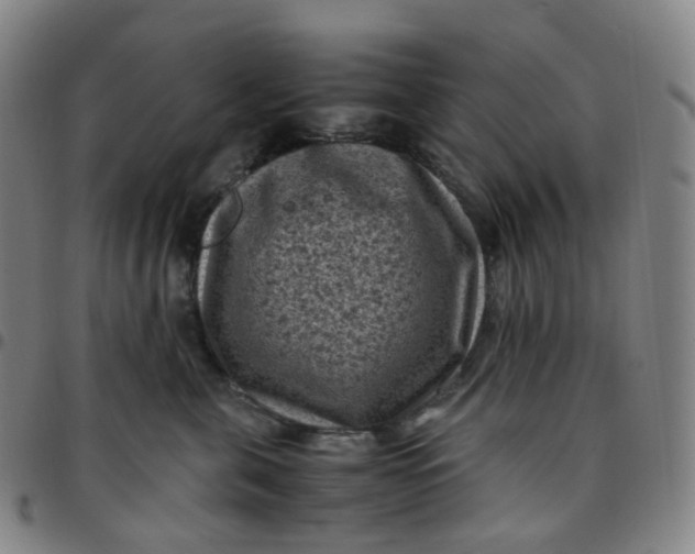X0000097500571200803071805