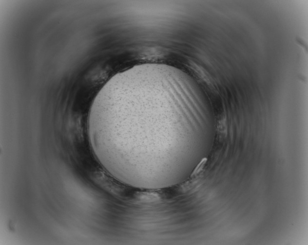 X0000097500572200803071805