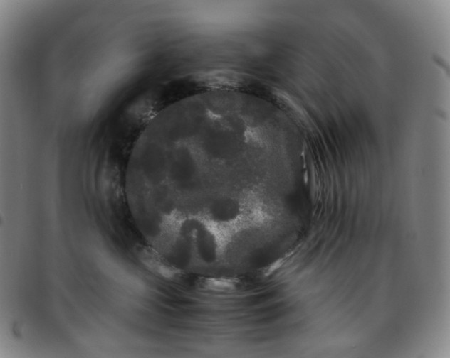 X0000097500573200803071805