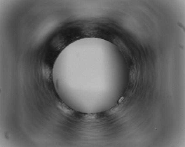 X0000097500574200803071805