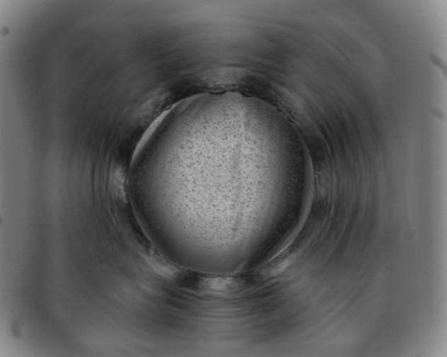 X0000097500575200803071805