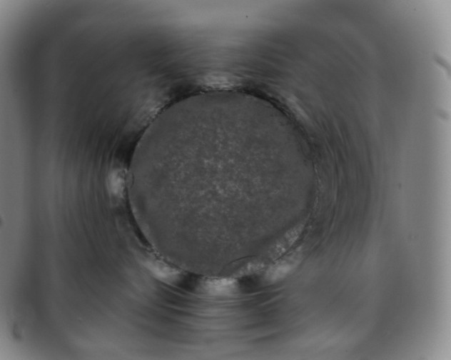 X0000097500576200803071805