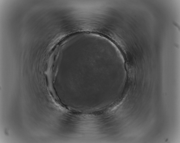 X0000097500577200803071804