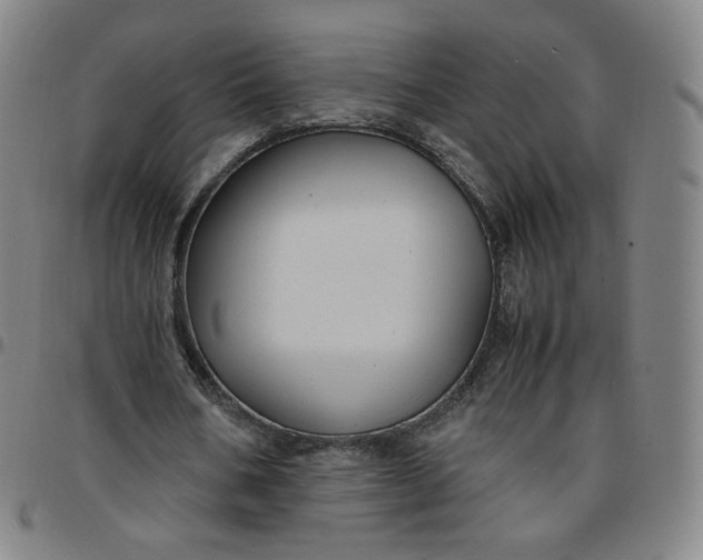 X0000097500578200803071804