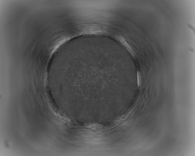 X0000097500579200803071804