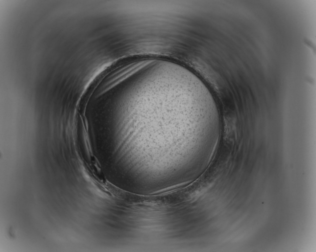 X0000097500580200803071804