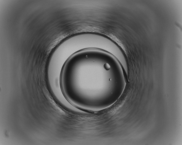 X0000097500581200803071804