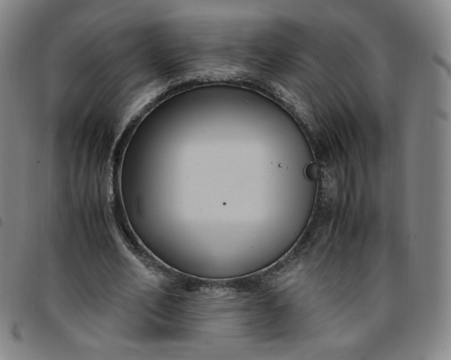 X0000097500582200803071804