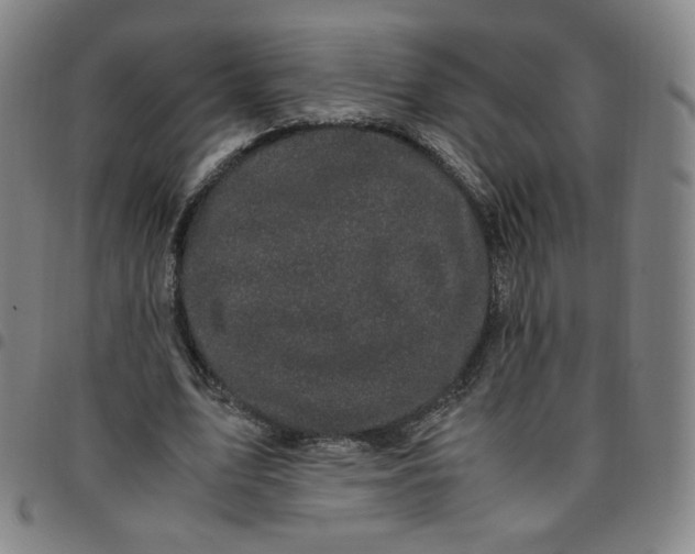X0000097500583200803071804