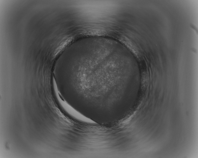 X0000097500585200803071804
