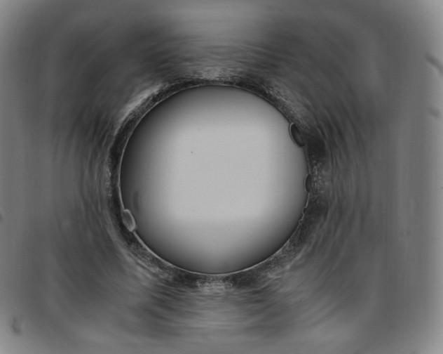 X0000097500587200803071804