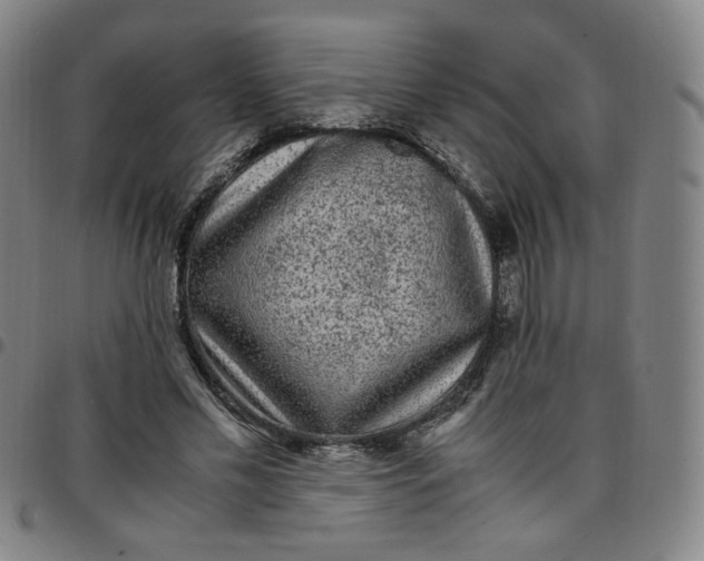 X0000097500589200803071804