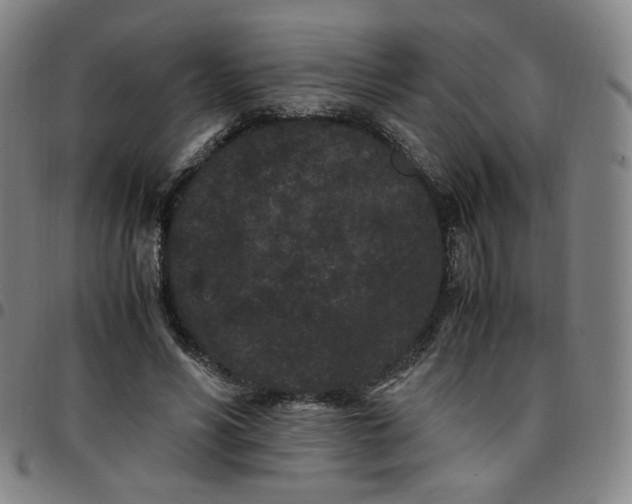 X0000097500590200803071804