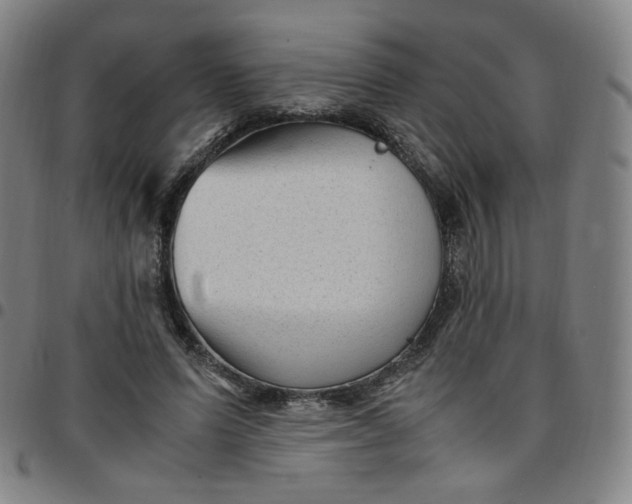 X0000097500591200803071804