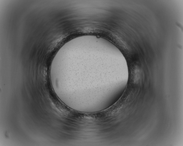 X0000097500592200803071804
