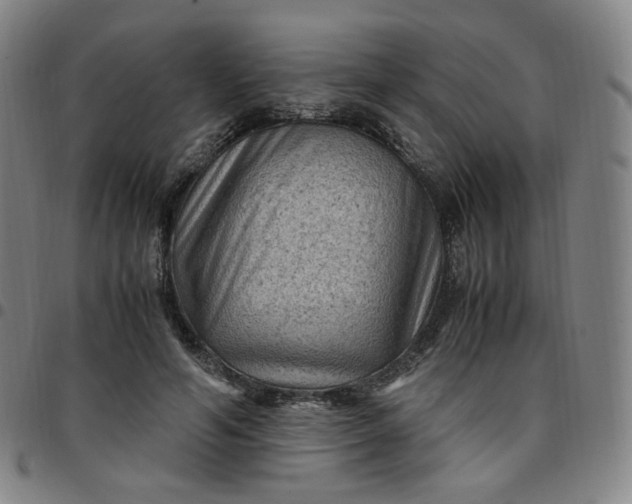 X0000097500594200803071804