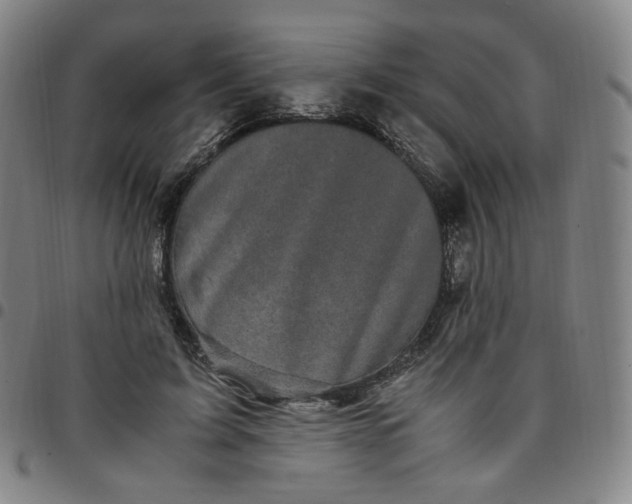 X0000097500595200803071804