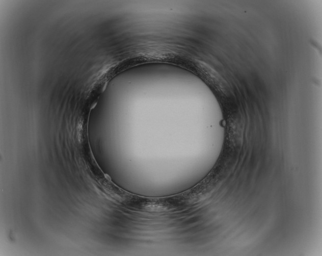 X0000097500596200803071804