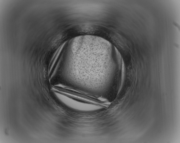 X0000097500597200803071804
