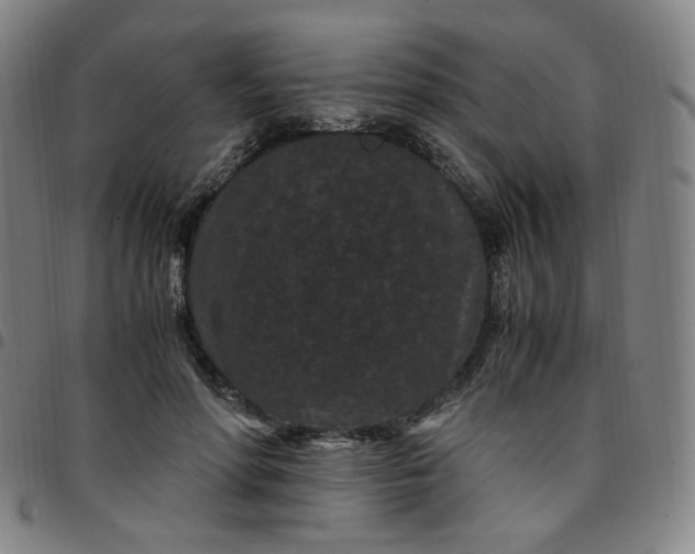 X0000097500598200803071804