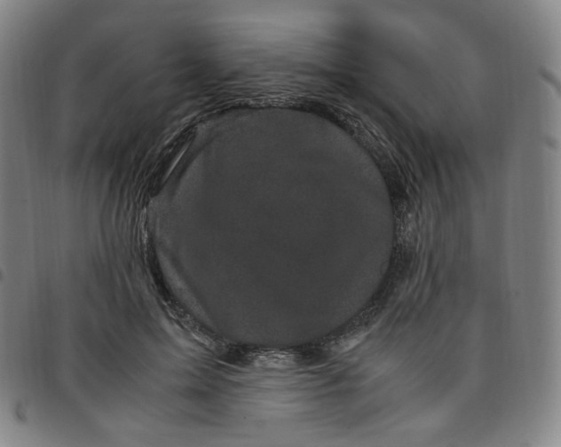X0000097500599200803071804