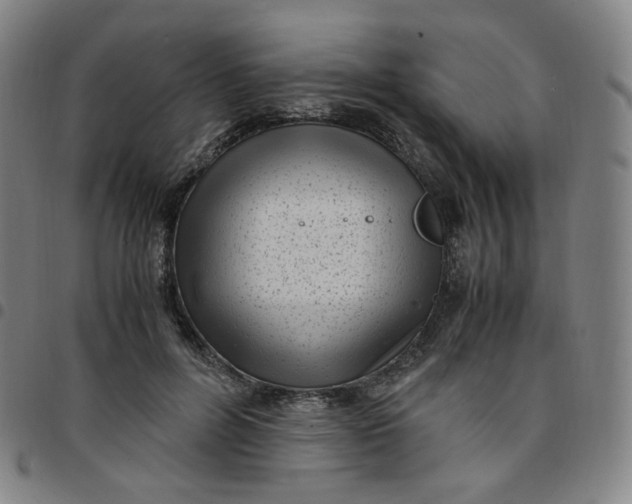 X0000097500600200803071804