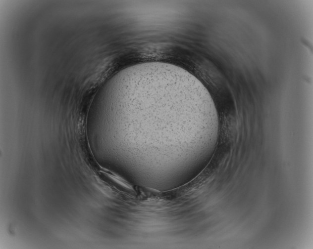 X0000097500601200803071804