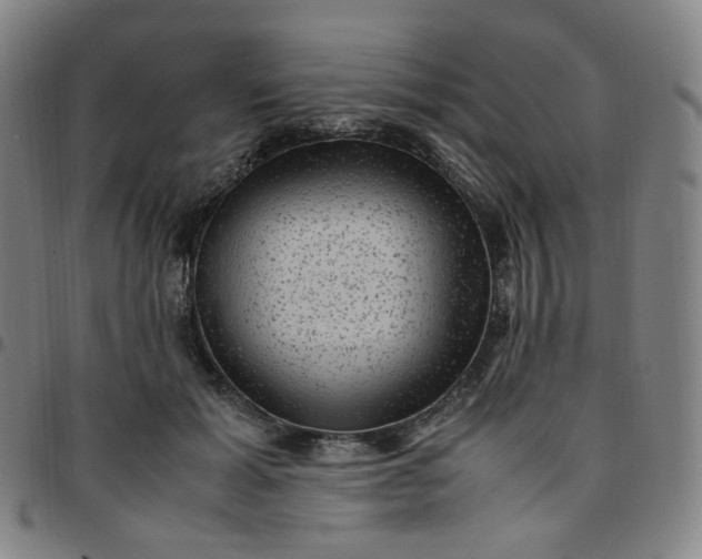 X0000097500605200803071804