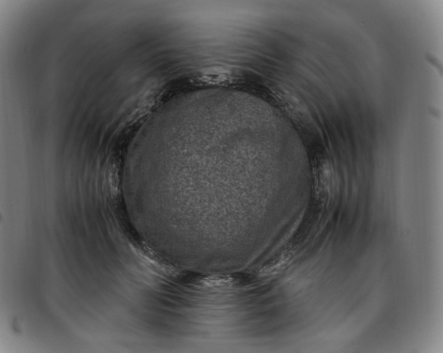 X0000097500606200803071804
