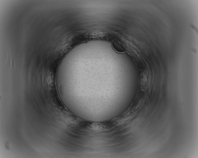 X0000097500608200803071804