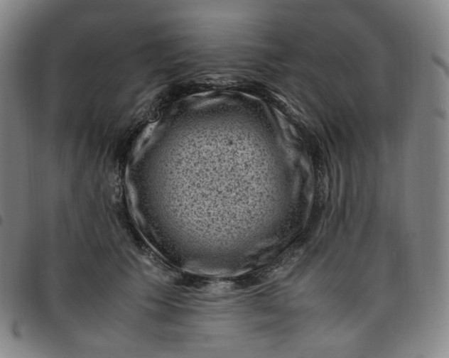 X0000097500609200803071804