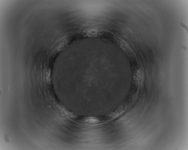 X0000097500610200803071804