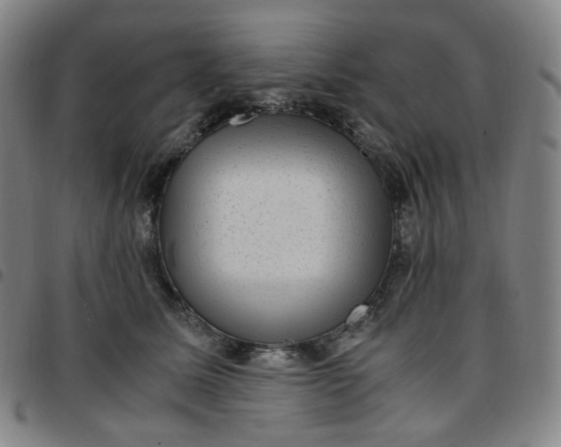 X0000097500611200803071804