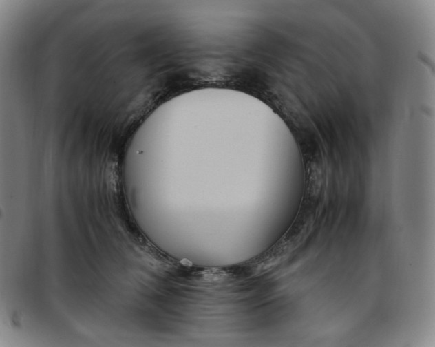 X0000097500612200803071804