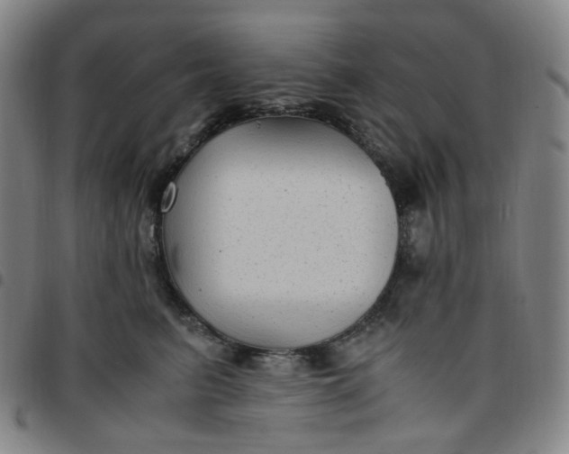 X0000097500615200803071804