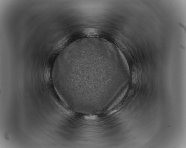 X0000097500618200803071804
