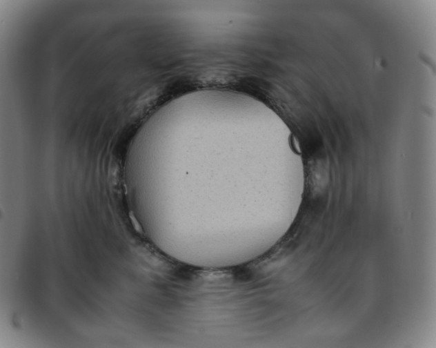 X0000097500619200803071804
