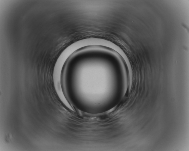 X0000097500621200803071804