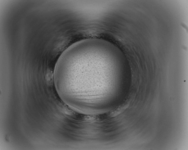 X0000097500624200803071803